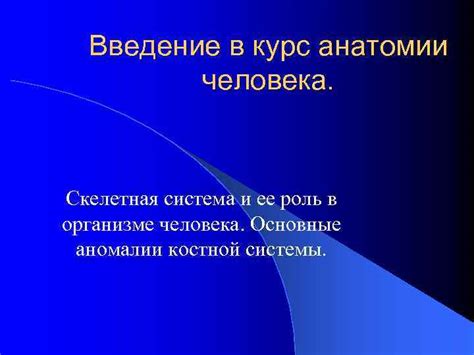 Особенности анатомической эмфазы и ее роль в понимании анатомии