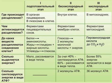 Особенности аэробных организмов