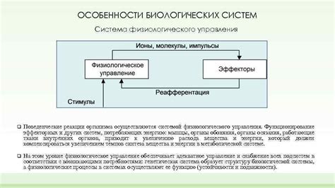 Особенности биологических систем