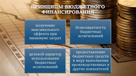 Особенности бюджетного финансирования – важный фактор