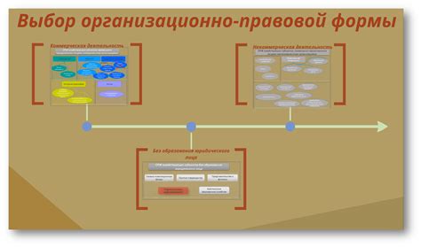 Особенности выбора организационно-правовой формы