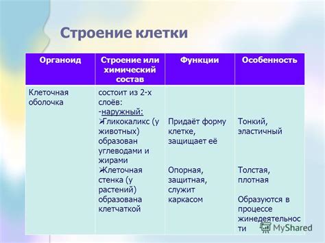 Особенности гуттаперчи и ее химический состав