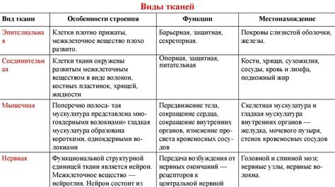 Особенности жидкого человека