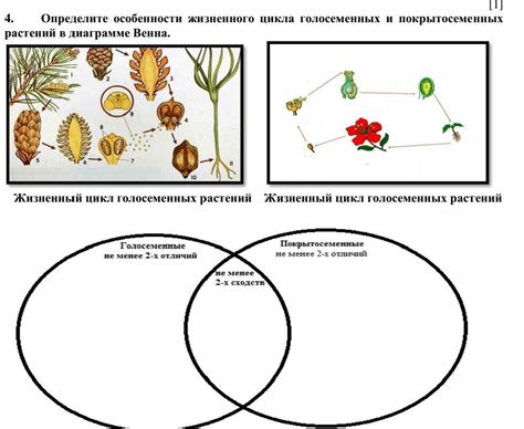 Особенности жизненного цикла гнуса и мошки