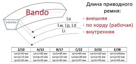 Особенности измерения размера универсального ремня