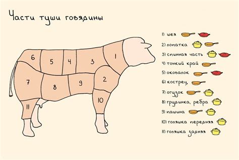 Особенности использования говядины тримминг