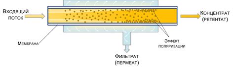 Особенности использования откалиброванного сырья