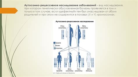 Особенности использования промежуточного типа наследования