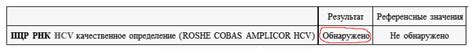 Особенности и критерии качественного обнаружения ПЦР гепатита С