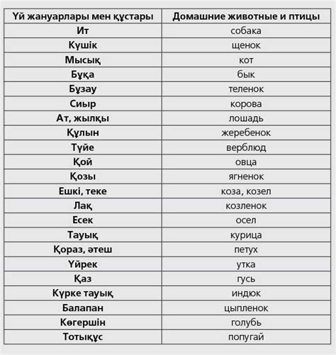 Особенности и перевод слова "Саубол" на казахском