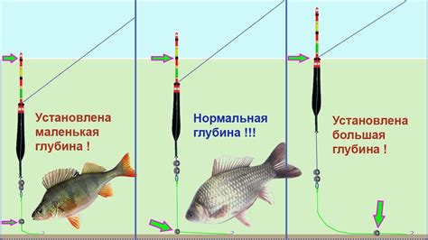 Особенности и работа поплавка