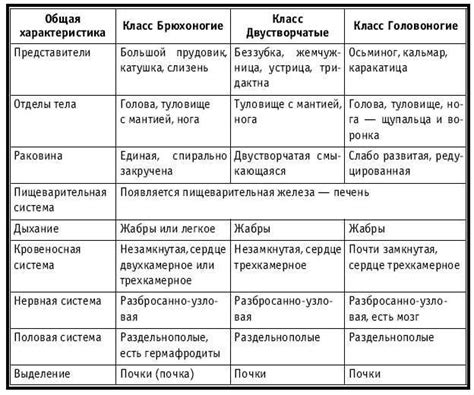 Особенности и разнообразие