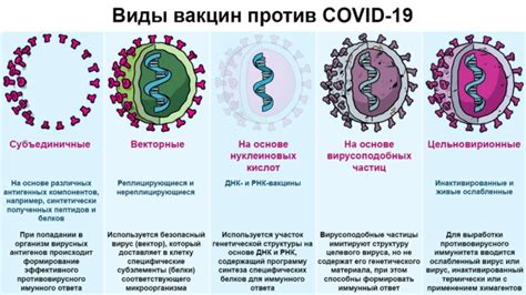 Особенности и эффективность векторной вакцины