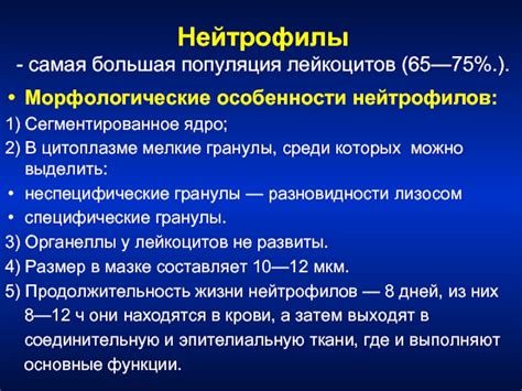 Особенности наличия нейтрофилов в носу