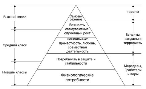 Особенности наружности плебея