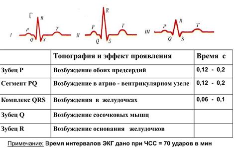 Особенности нетипичной ЭКГ сердца