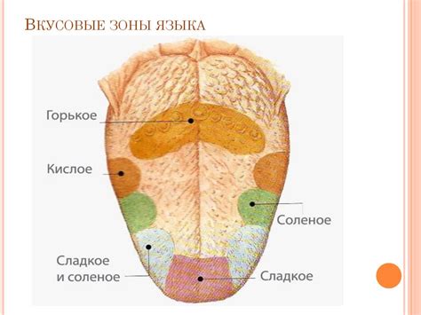 Особенности обработанного языка