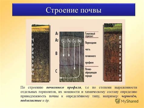 Особенности образования выщелоченного чернозема