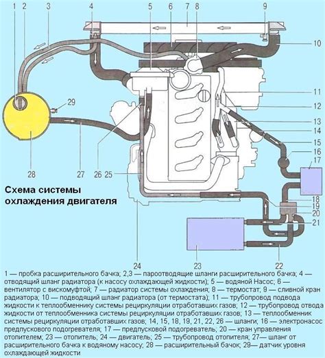 Особенности охлаждения и отдыха