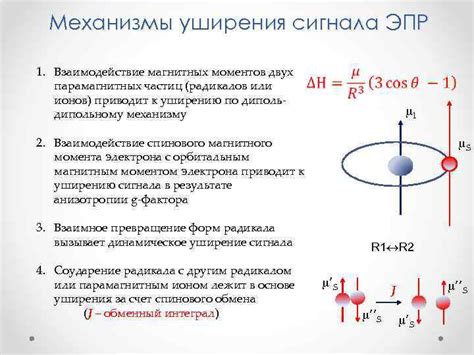 Особенности парамагнитных частиц