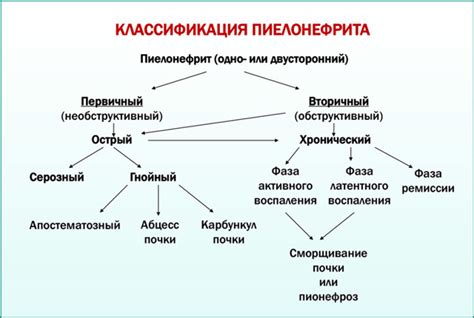 Особенности пиелонефрита с латентным течением