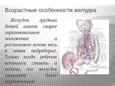 Особенности пищеварительной системы новорожденных и козьего молока