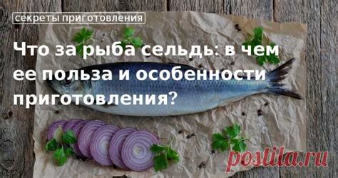 Особенности приготовления холь