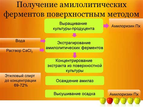 Особенности производства астероидных препаратов