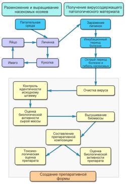 Особенности производства биологических препаратов