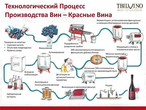 Особенности производства россо вина