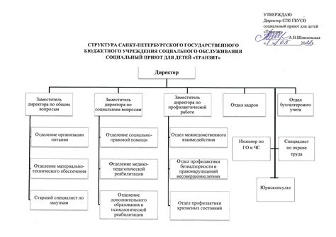 Особенности работы приюта