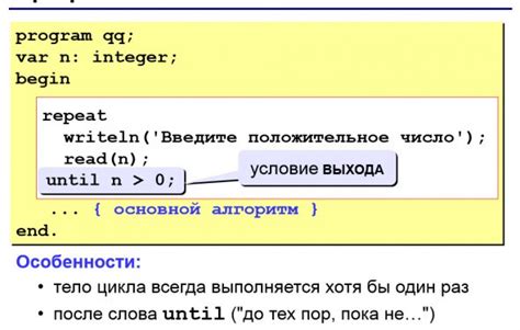 Особенности работы скалярных выражений в различных языках программирования