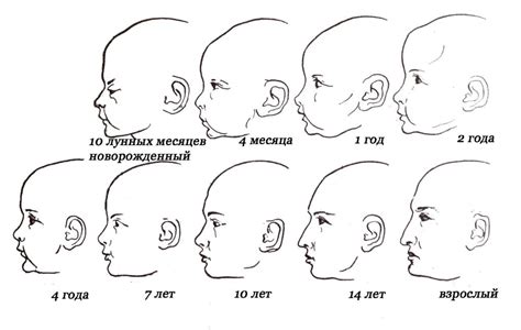 Особенности развития формы головы у детей
