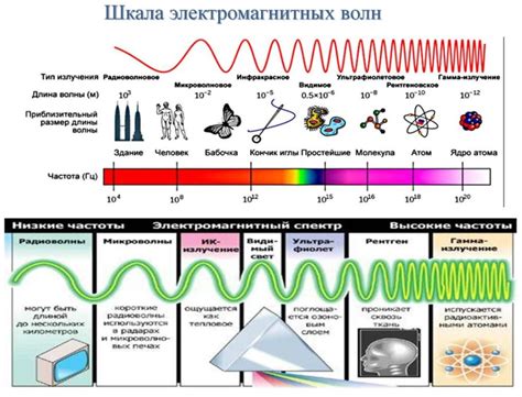 Особенности реальности