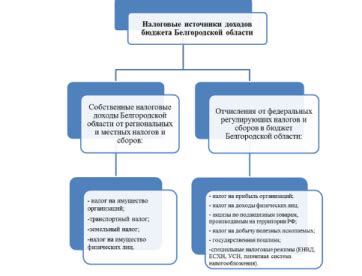 Особенности региональных налогов