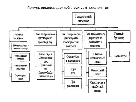 Особенности структуры и организации завода изготовителя