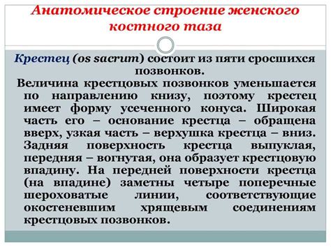 Особенности структуры и роли одиночного предложения