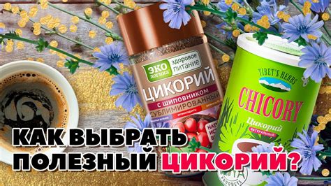 Особенности употребления цикория с инулином