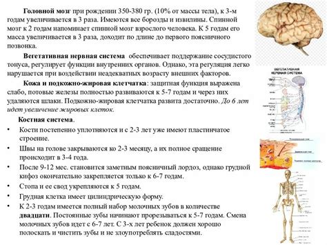 Особенности физиологии и возрастные изменения