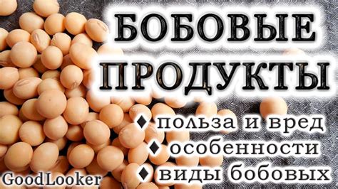 Особенности хранения бобовых продуктов