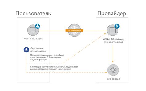 Особенности VipNet Client