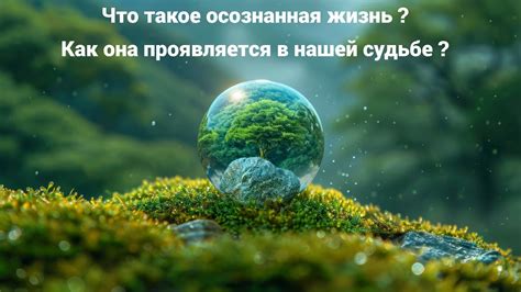 Осознанная жизнь: трансформация нашей реальности и уровня счастья