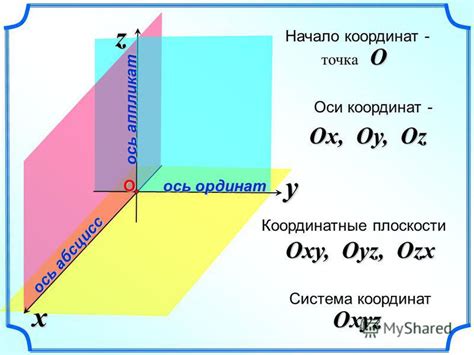 Ось аппликат: зачем нужна эта деталь