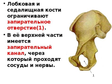 Отверстие: определение и функции