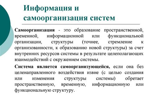 Ответственность и самоорганизация прихожан