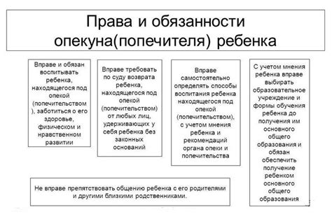 Ответственность опекуна и его права