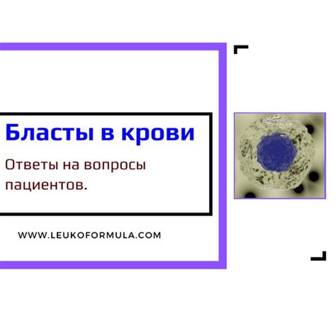 Ответы на часто задаваемые вопросы о крови в яйцах