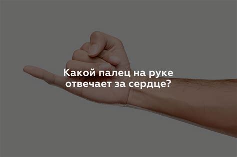 Ответ экспертов. Почему торчит мизинец, когда держу кружку?