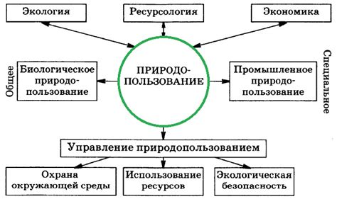 Отзеркаливание: понятие и принципы