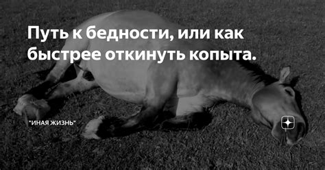 Откинуть копыта: что это значит?